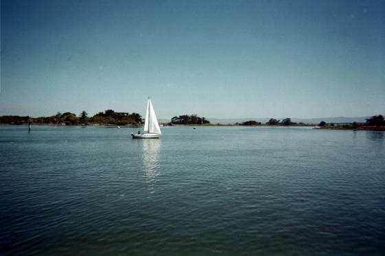 img21.jpg