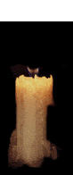 beeswaxcandle.gif