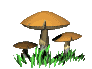 browntoads.gif