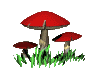 mushpatch.gif