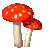 spinshrom1.gif