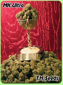 th_seeds_cannabis_seeds_mk_ultra.jpg